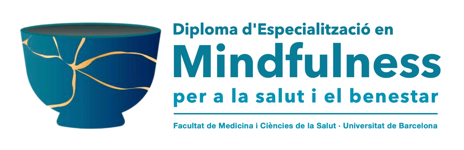 diploma mindfulness